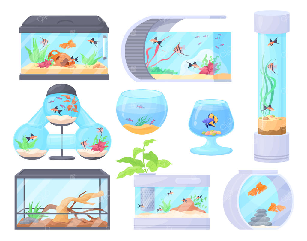 آکواریوم‌های خانگی: کاسه شیشه‌ای، مخزن شیشه‌ای با حیوانات زیرآبی مثل ماهی یا خزنده و تزیینات گیاهان دریایی