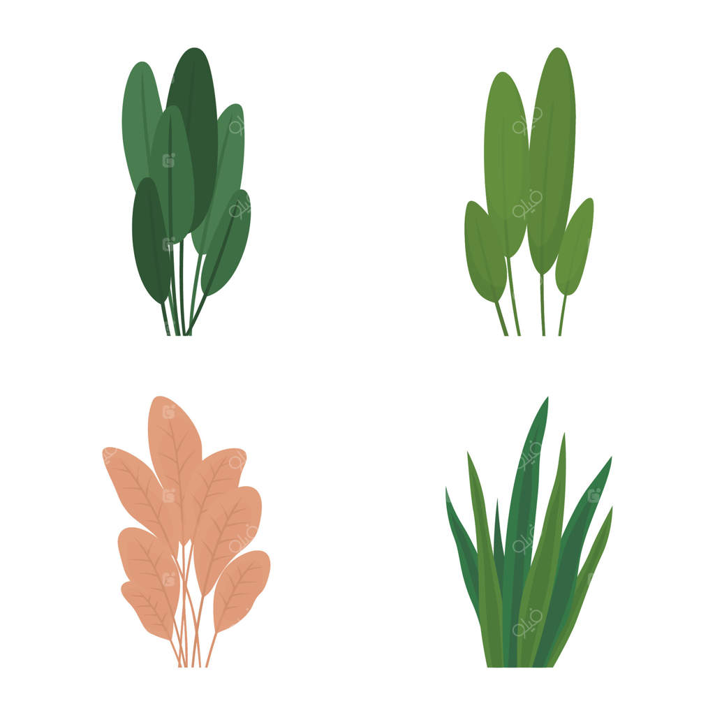 مجموعه‌ای از عناصر برگ‌های تازه گرمسیری، شاخ و برگ، چمن‌های طبیعی و گیاهان در باغ پارک