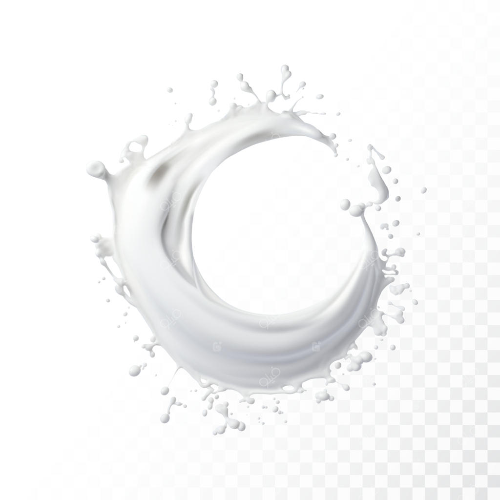 پاشیدن شیر بر روی زمینه سفید. تصویرسازی وکتوری واقعی.