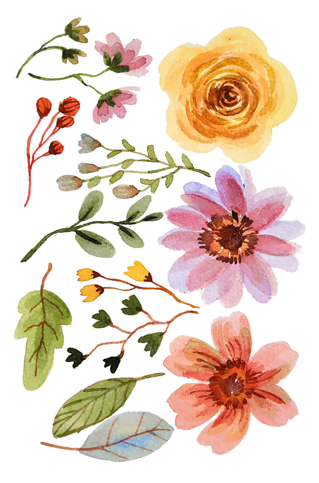 عناصر شکوفه گل آبرنگی طراحی شده با دست (وکتور)