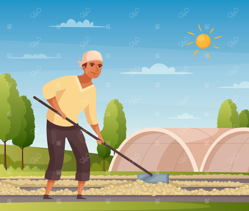 تصویر کارتونی کارگر تولید قهوه با نمادهای خشک‌کن،