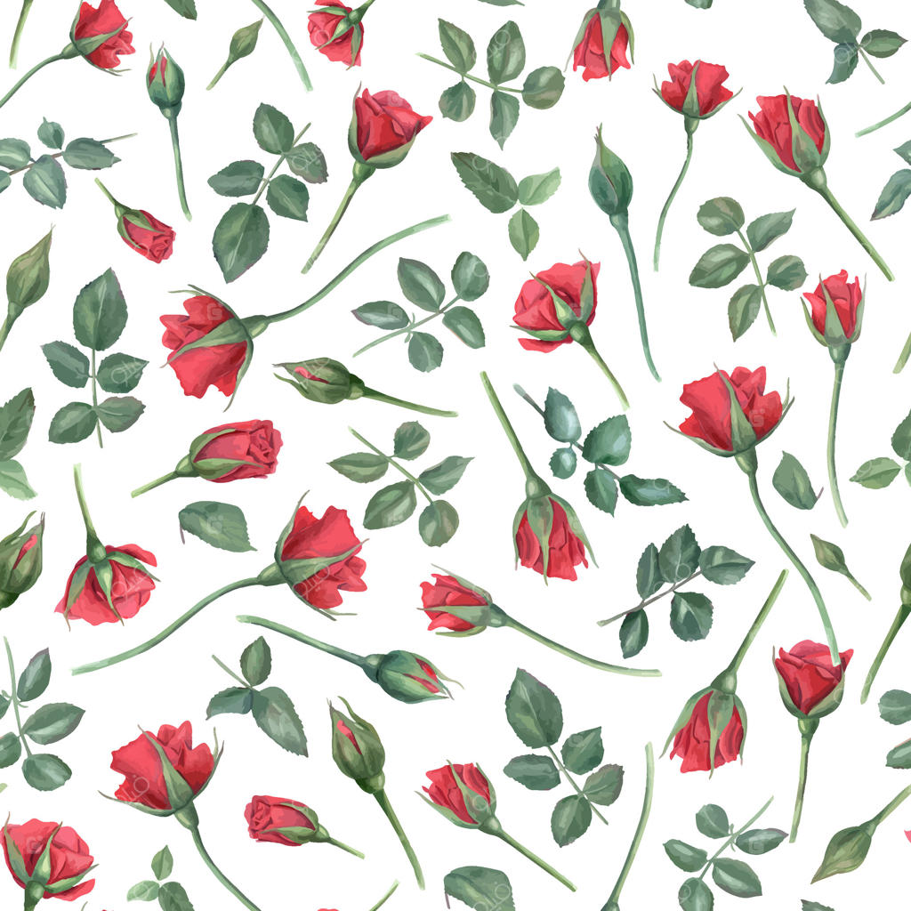 گل‌های یاقوتی و برگ‌های سبز روی ساقه‌ها. رزهای قرمز. طرح یکپارچه. گل‌های باغ شکوفای تابستانی با غنچه‌ها. تصویرسازی آبرنگ. برای طراحی عروسی، روز یادبود و روز مادر