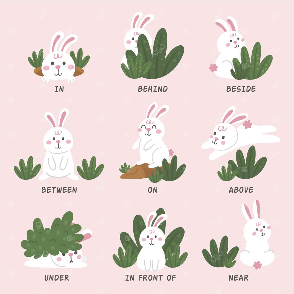 حروف اضافه انگلیسی با تصویرهایی از خرگوش‌ها