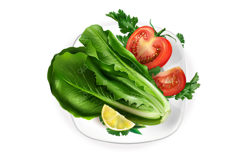 کاهو، گوجه‌فرنگی و یک برش لیمو روی بشقاب سفید.