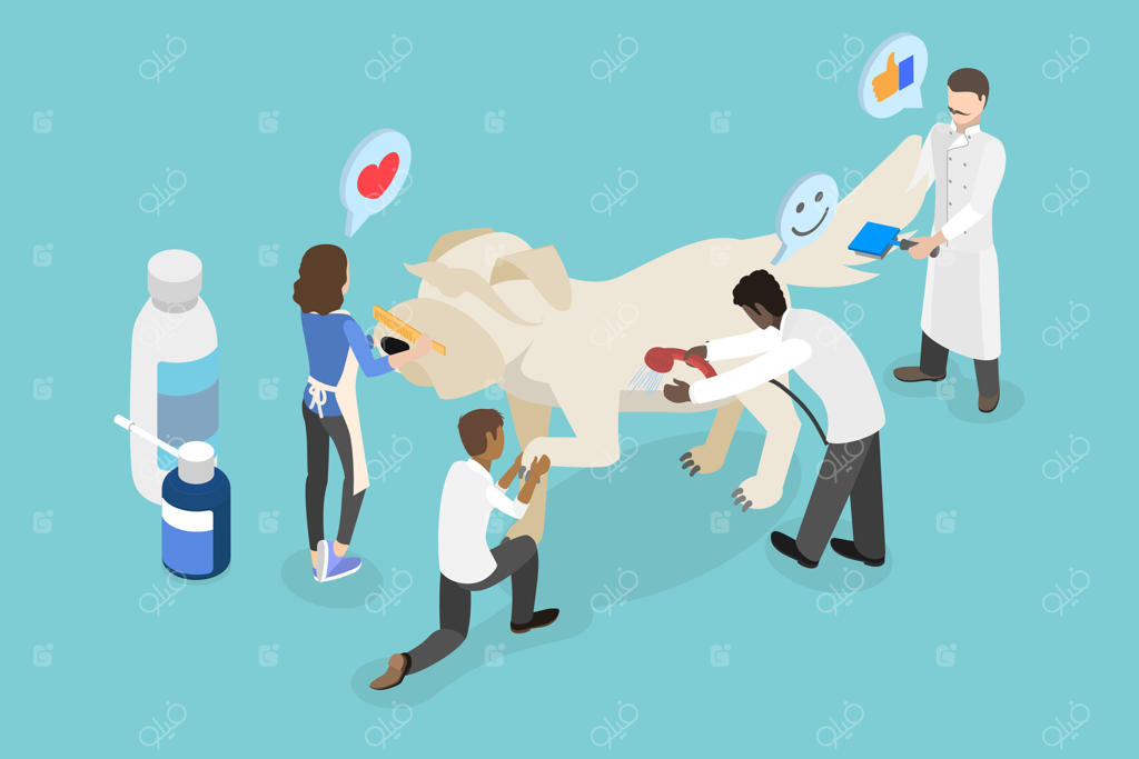 تصویر سه‌بعدی ایزومتریک از سالن زیبایی حیوانات خانگی و آرایشگاه سگ‌ها