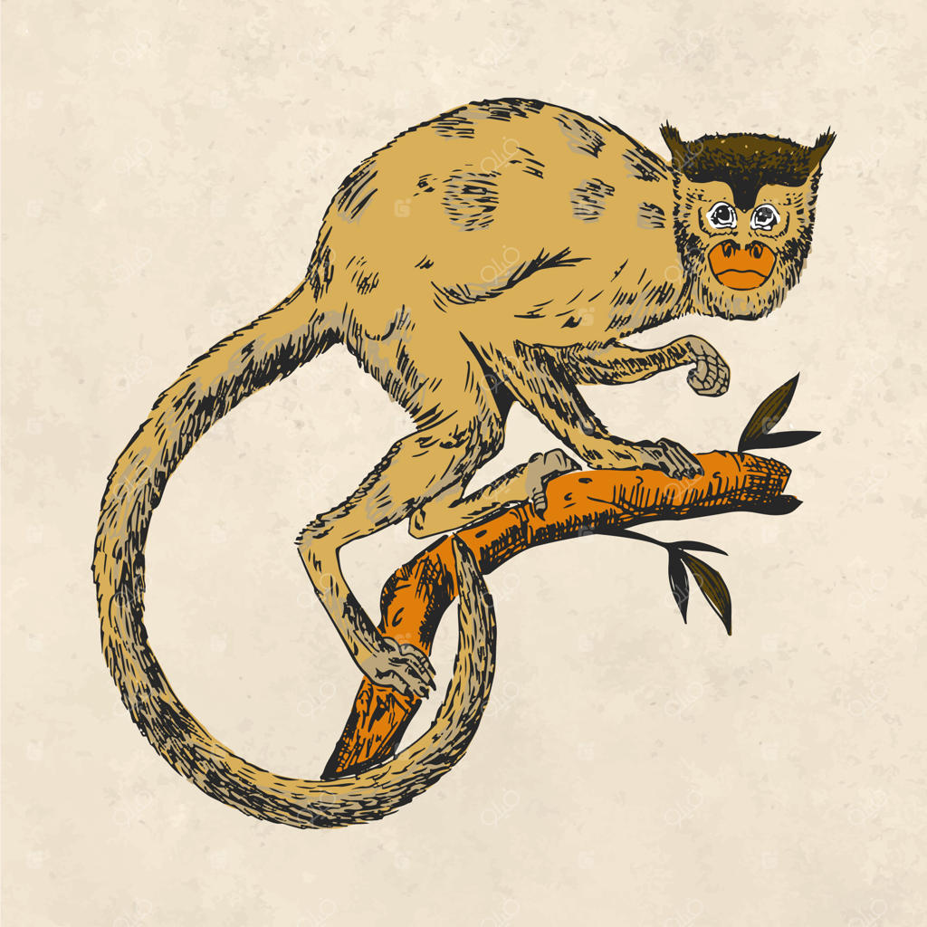 تصویرسازی حیوانات قدیمی به صورت دستی绘