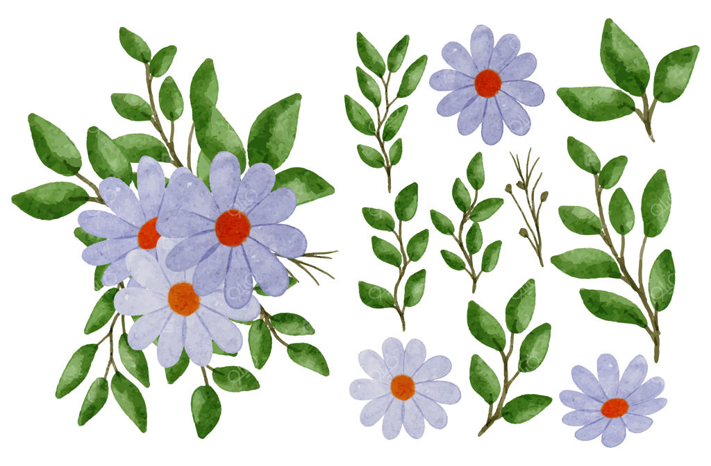 دسته گل زیبا و برگ‌ها برای تزئین به سبک رنگ‌های آبرنگی