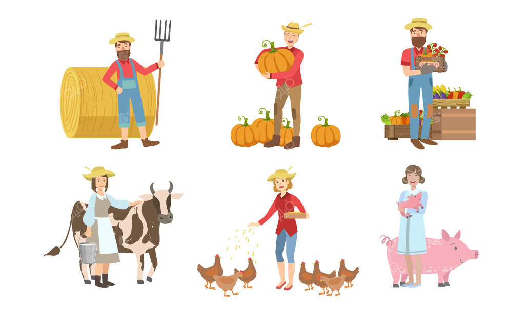 کار در مزرعه و باغ: تصویر کشاورزان زن و مرد در حال برداشت محصول و تغذیه حیوانات