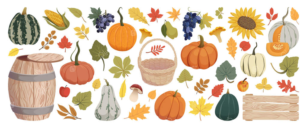 چیدمان برداشت پاییز و عناصر فصل خزان: کدو تنبل، برگ‌ها، سبزیجات، انگور، میوه‌ها، قارچ‌ها، بشکه چوبی، جعبه، سبد. مجموعه فصل پاییز مزرعه و باغ. تصویرسازی روز شکرگزاری.