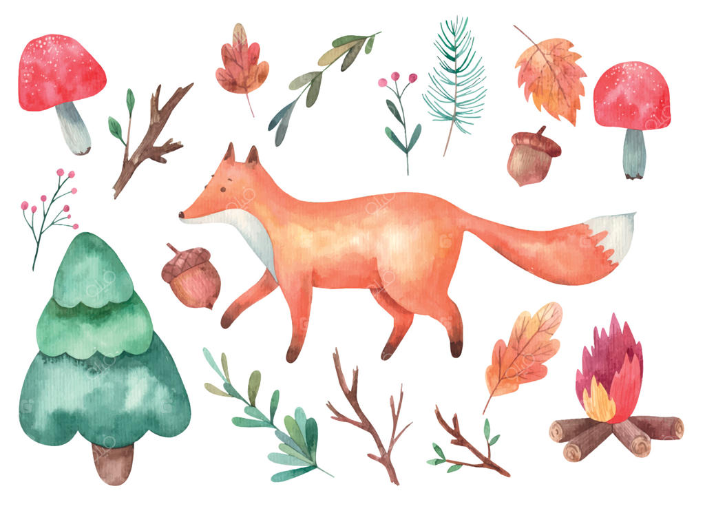 کلیپ‌آرت و تصویرسازی آبرنگی روباه، جنگل، قارچ‌های قرمز، شاخه‌های کاج و آتش در پس‌زمینه سفید