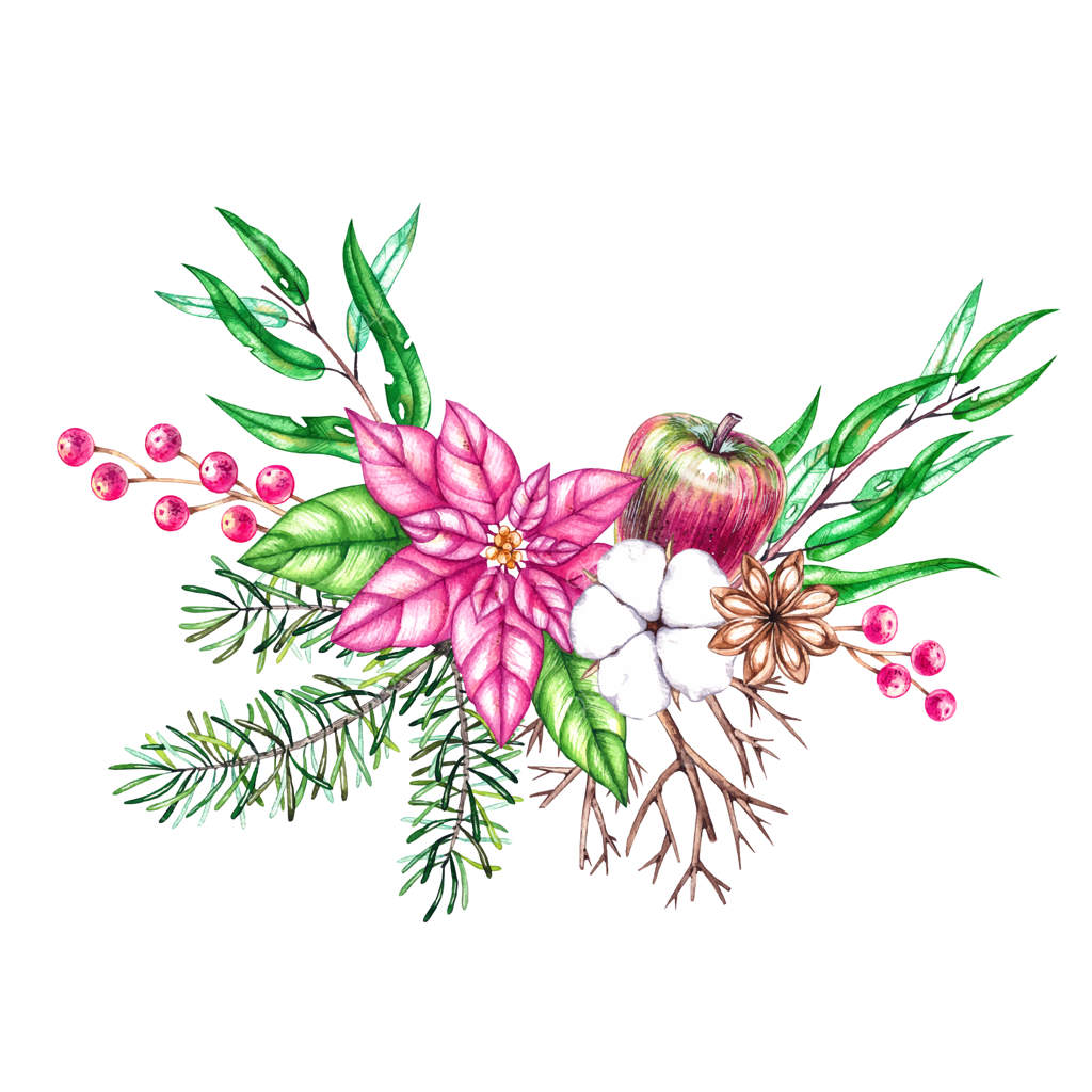 دسته گل کریسمس آبرنگی با زمینه سفید