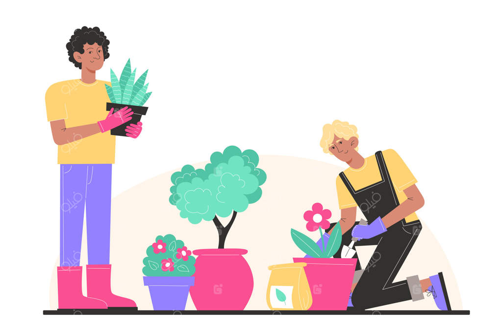 مراقبت از باغ: کاشت گل در گلدان توسط دو مرد