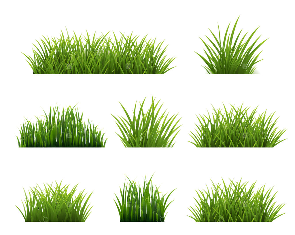 مجموعه حاشیه چمن سبز با پس‌زمینه سفید