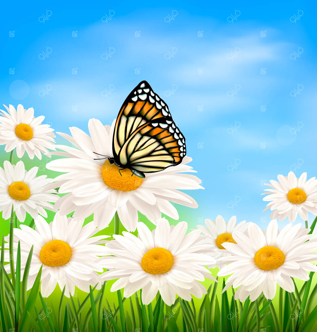 پس‌زمینه بهاری طبیعت با چمن، گل‌ها و پروانه‌ها