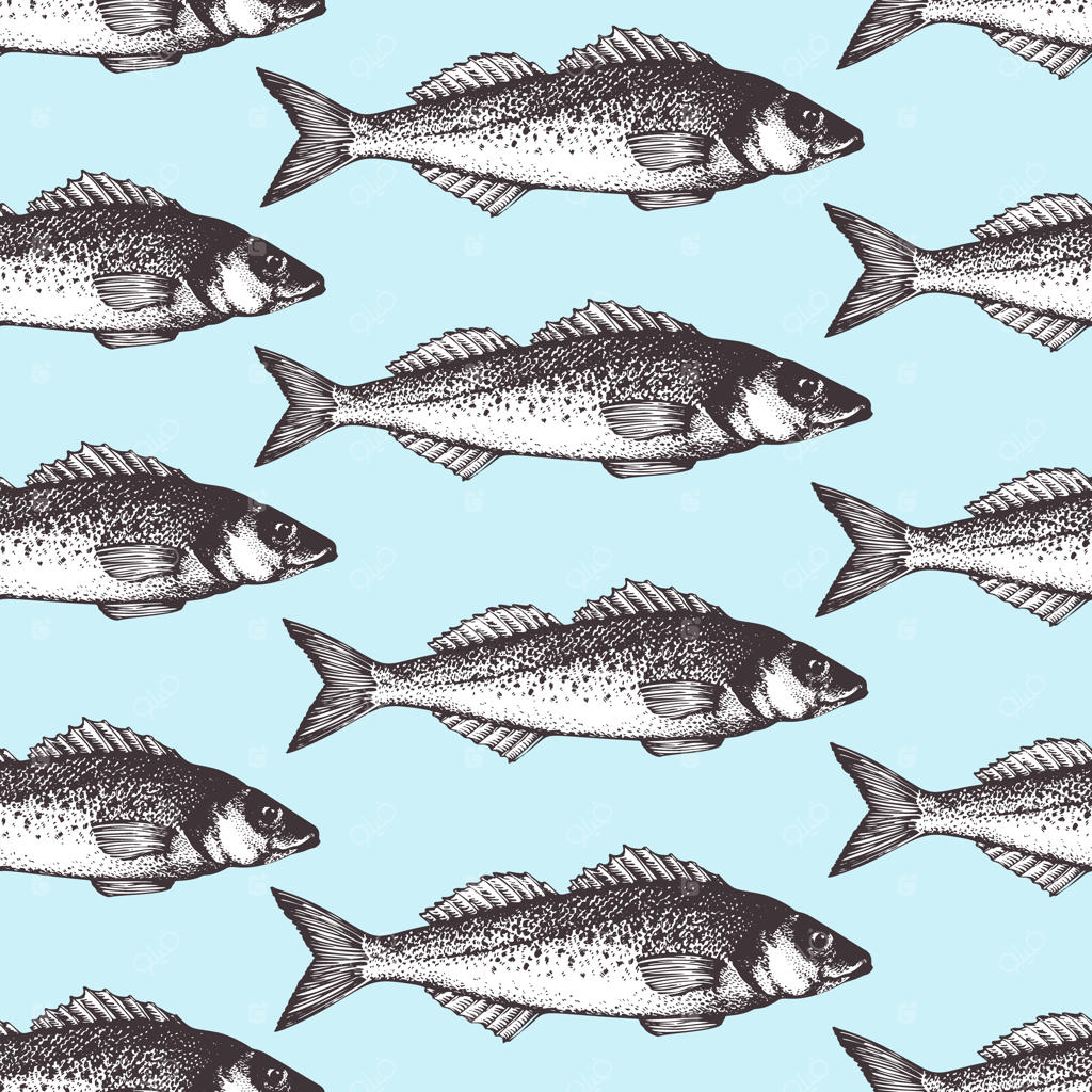 پترن دست‌کشیده غذاهای دریایی با ماهی‌ها. تصویرسازی رترو از ماهی سیباس.