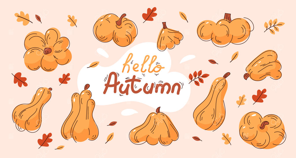 مجموعه‌ای از کدوهای پاییزی در شکل‌های مختلف و شاخ و برگ پاییزی