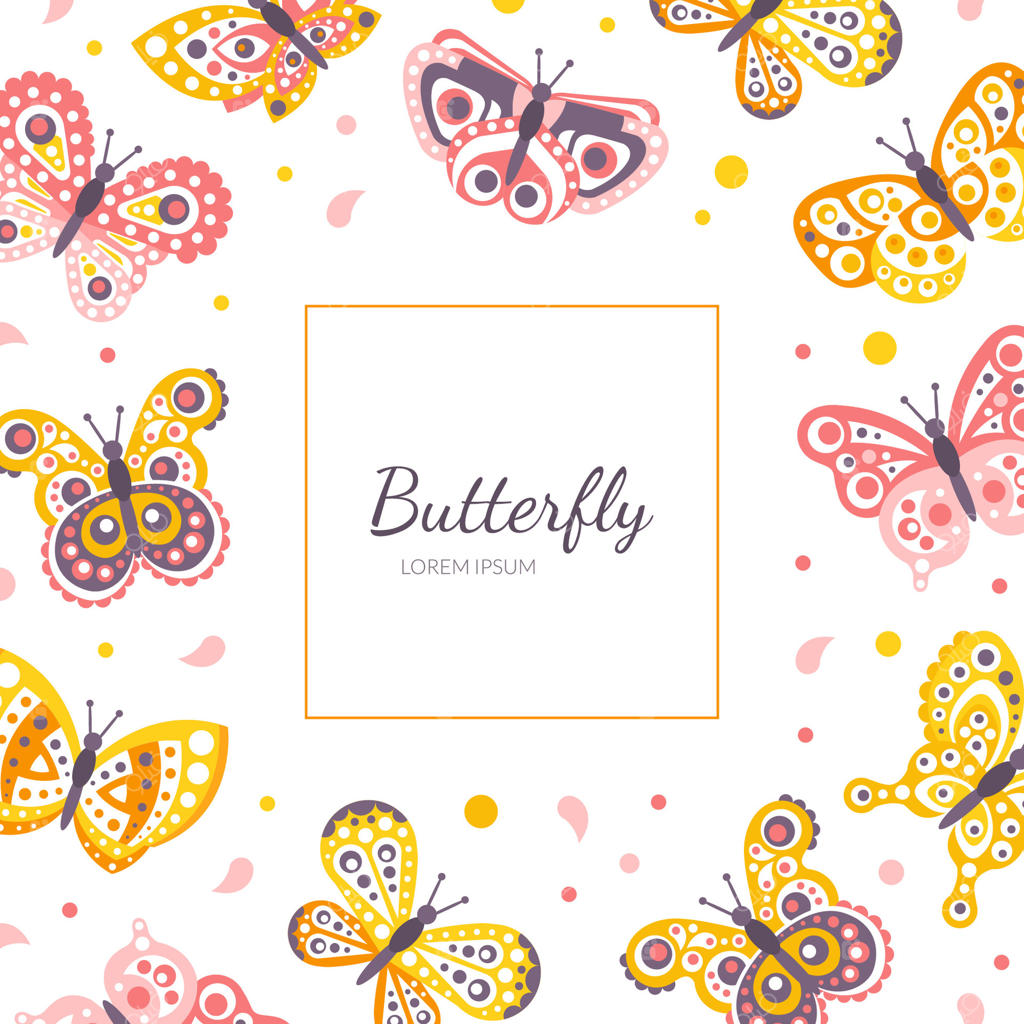 قالب بنر پروانه با طرح کارتونی و پترن بی‌نظیر پروانه‌ها
