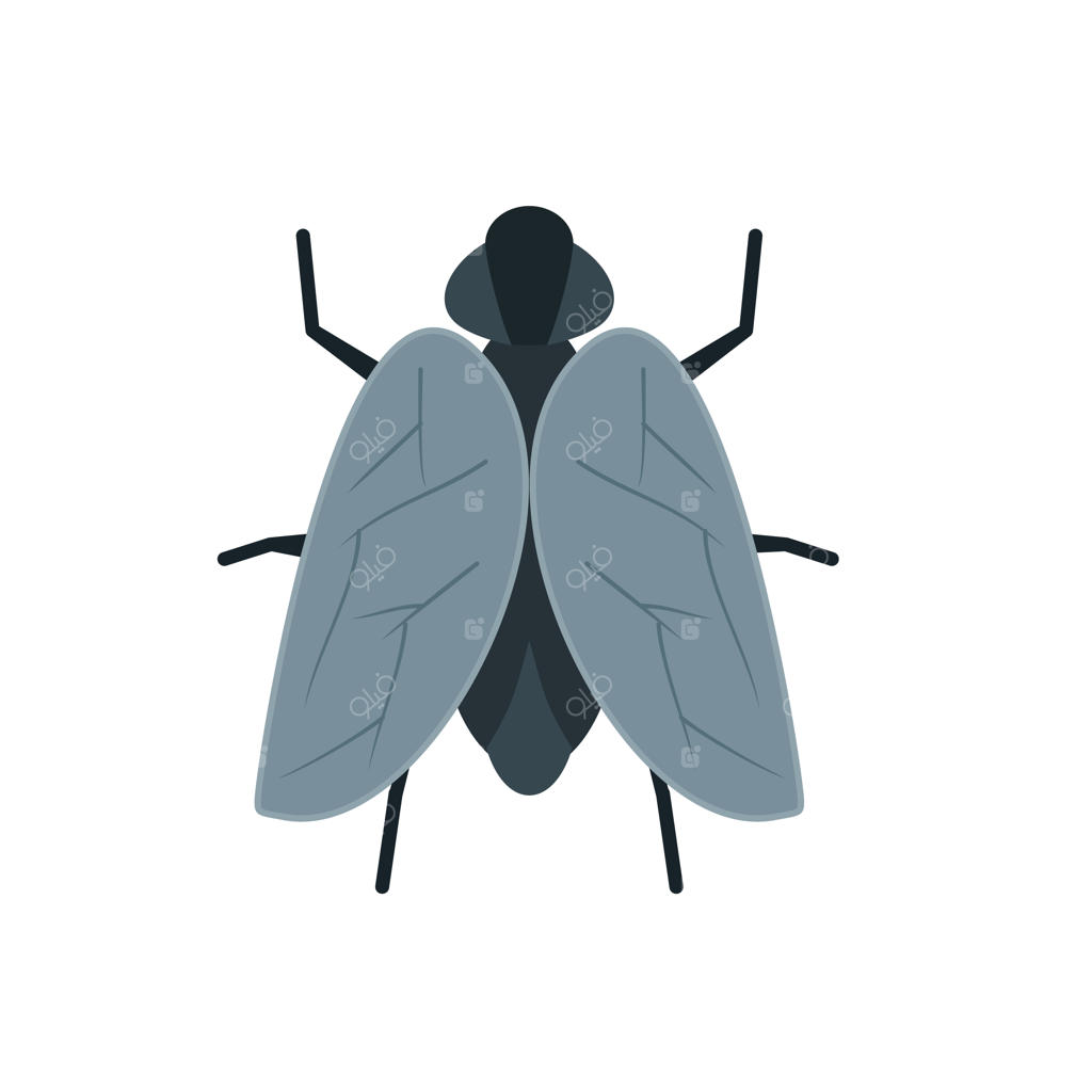 آیکون تصویر برداری حیوان پرنده