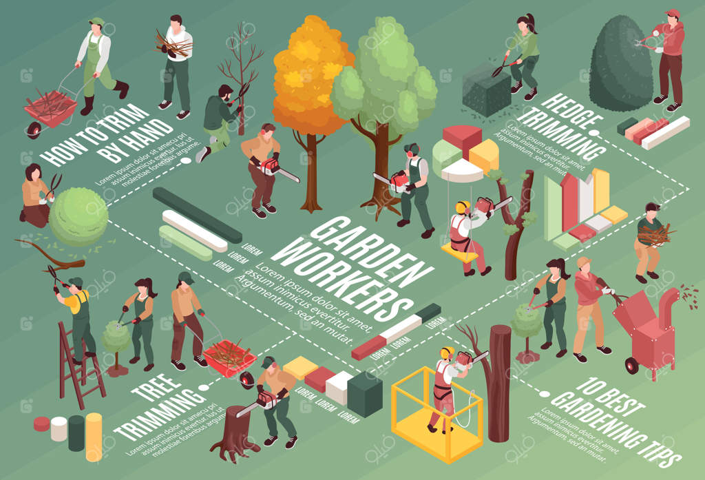 نمودار جریان کارگران باغبانی