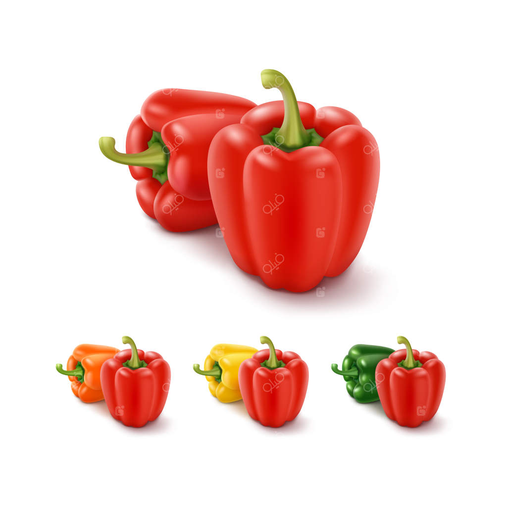 مجموعه‌ای از فلفل دلمه‌ای‌های رنگی زرد، سبز، نارنجی و قرمز روی زمینه سفید