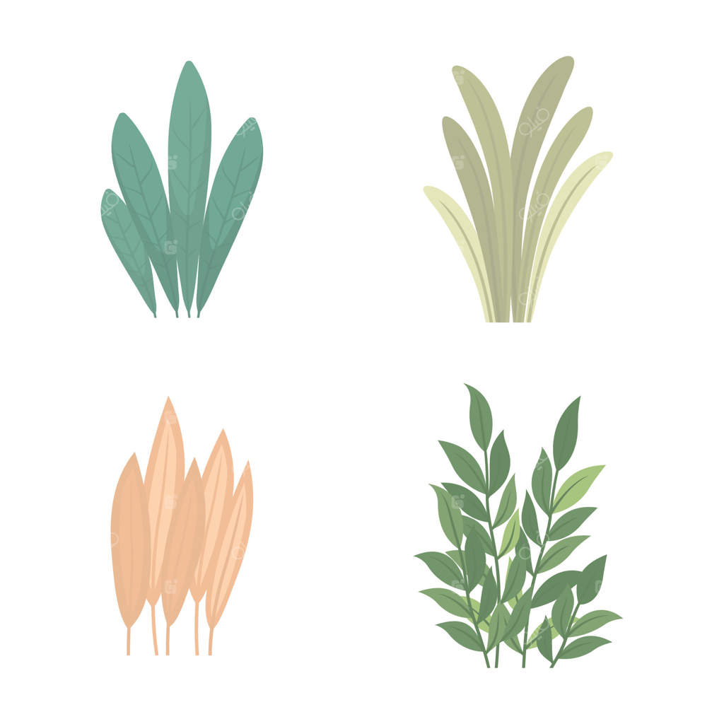 عناصر برگ‌های تازه استوایی گیاهان و طبیعت در پارک و باغ