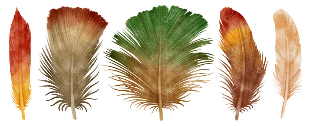 تصویر آبرنگی پرهای رنگارنگ بامزه برای عنصر دکوراتیو