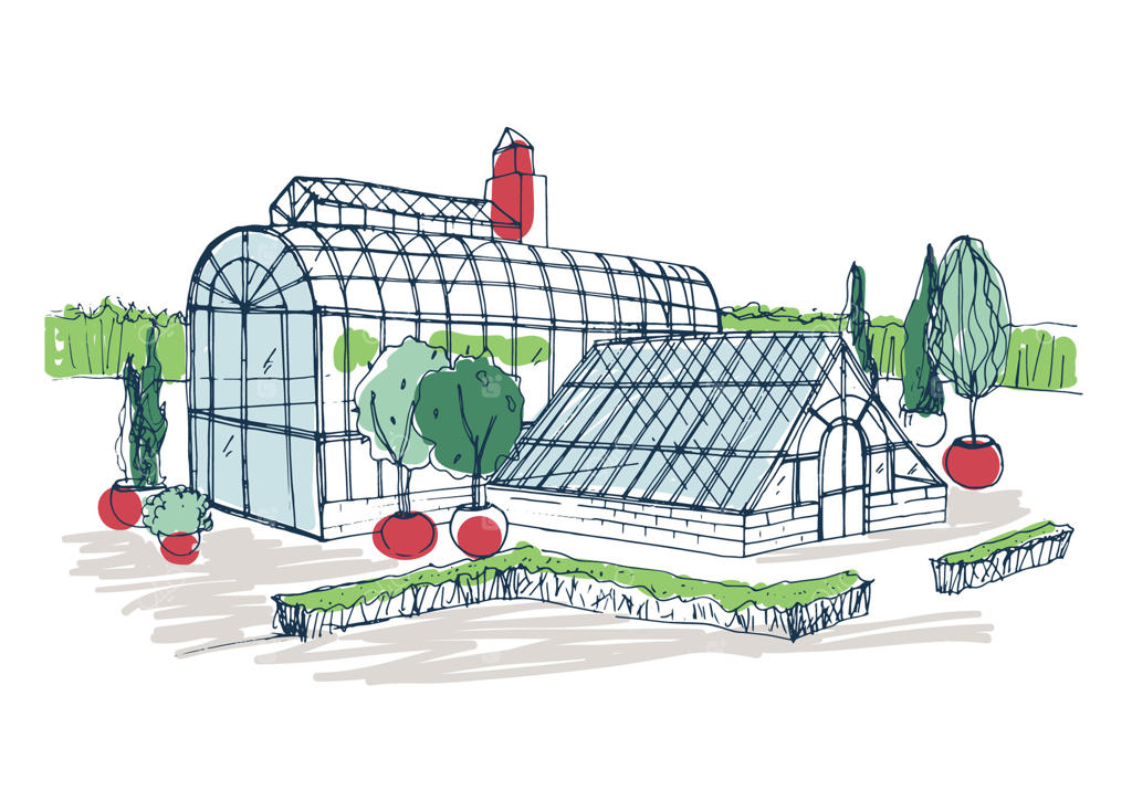 نقاشی دستی از نمای خارجی باغ گیاه‌شناسی گرمسیری، محصور در بوته‌ها و درختان گلدانی. طرحی ساده از نمای گلخانه شیشه‌ای. تصویرسازی رنگی و دستی.