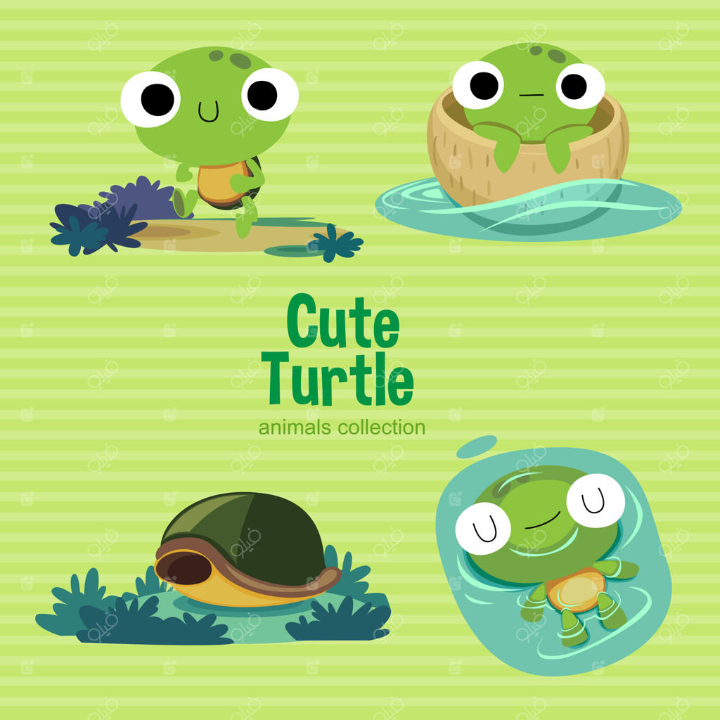 لاک‌پشت بامزه