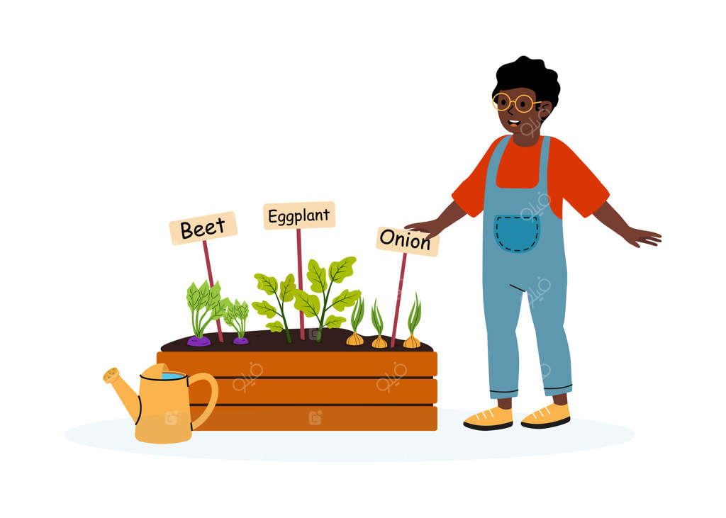 علاقه‌مند به باغبانی در حال رسیدگی به سبزیجات در باغچه عمومی در یک بعدازظهر آفتابی