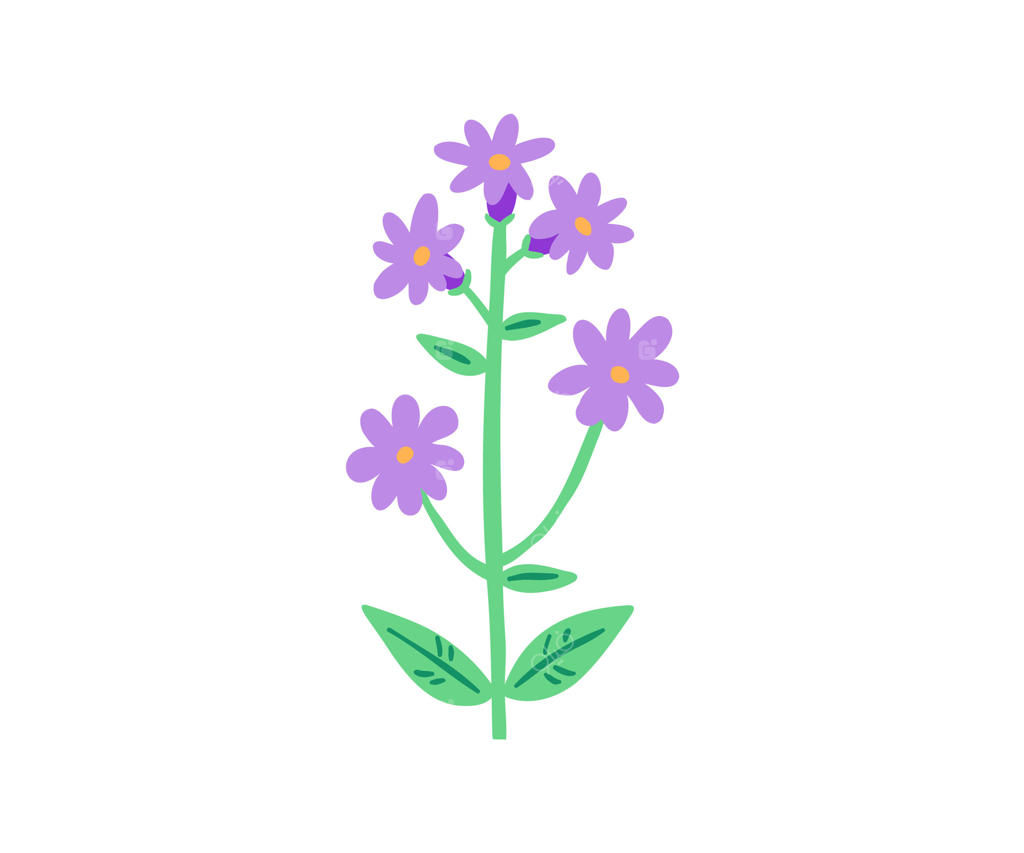 گل‌های تابستانی دست‌کشیده. باغ، باغ گل، گیاهان. تصویرسازی به سبک ساده.