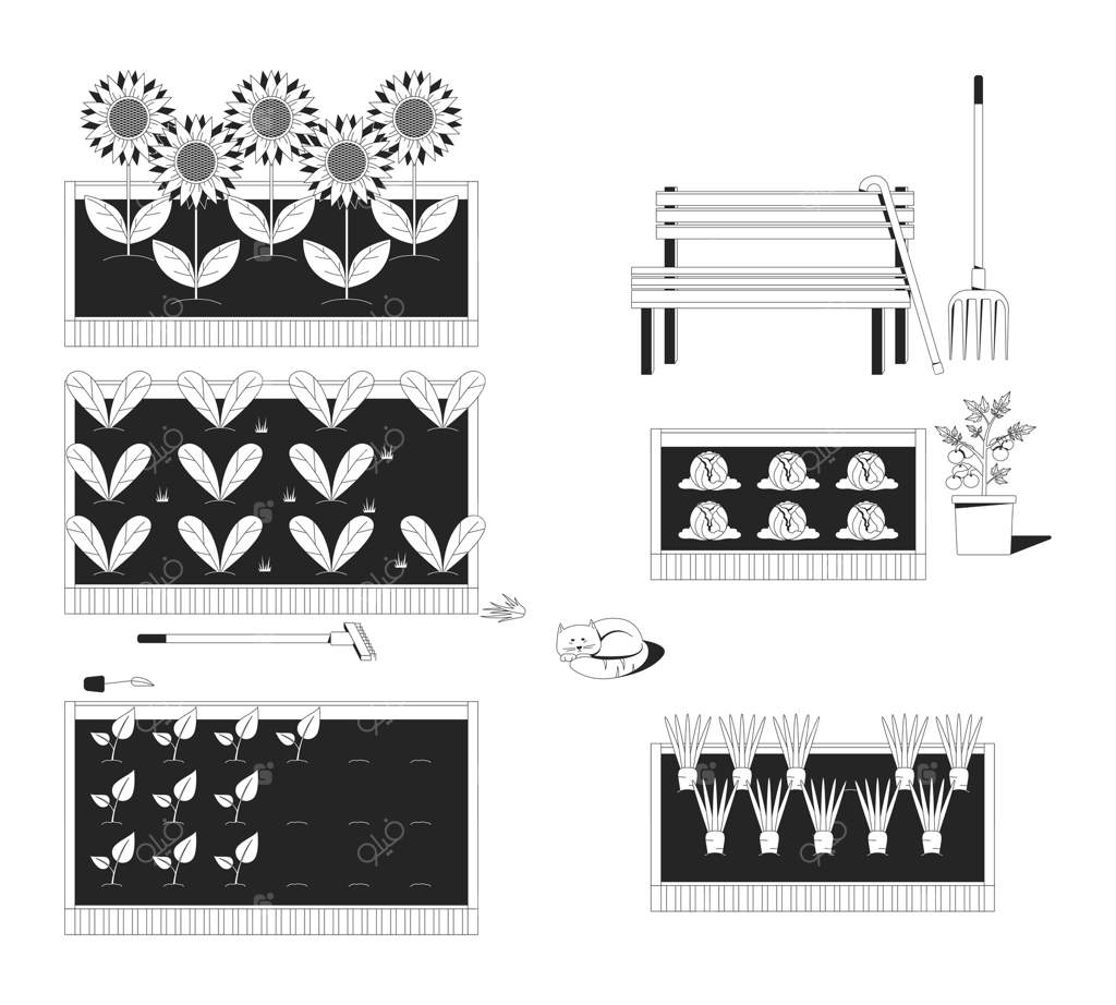 تصویرسازی خطی از باغچه جامعه با بسترهای بلند. نیمکت با عصا و گربه خوابیده. گل‌های آفتابگردان، سبزی‌های برگی، گوجه‌فرنگی و هویج. صحنه دوبعدی سیاه و سفید در زمینه سفید. تصویر مشکی و خطی