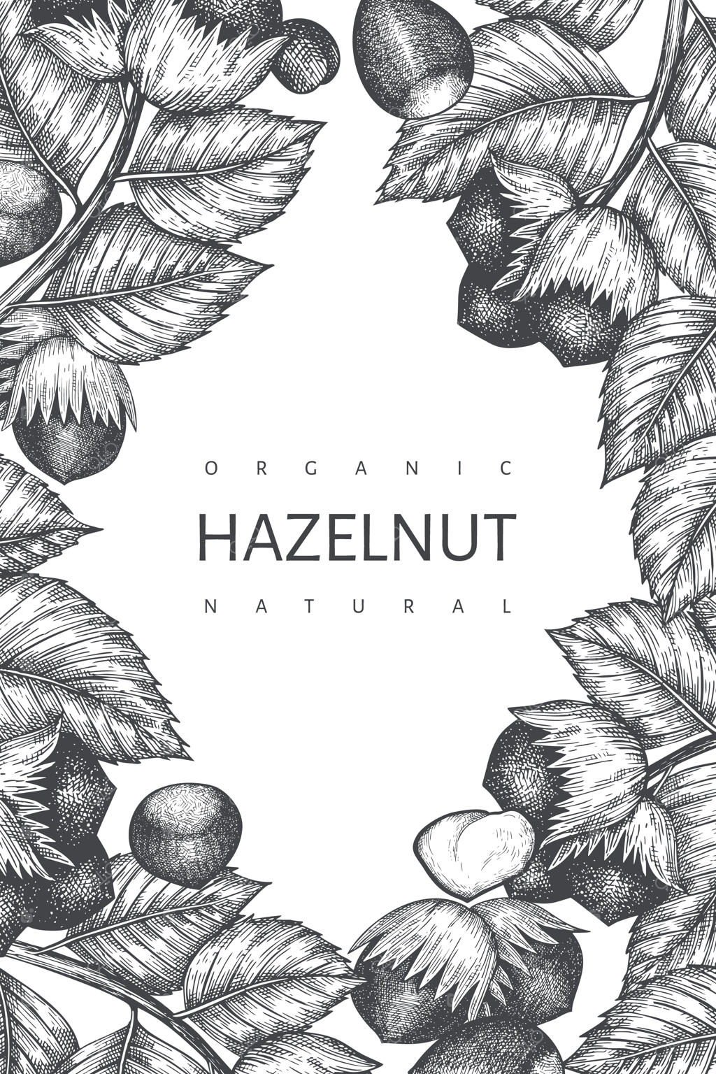 پترن طراحی فندق دست‌کشیده.