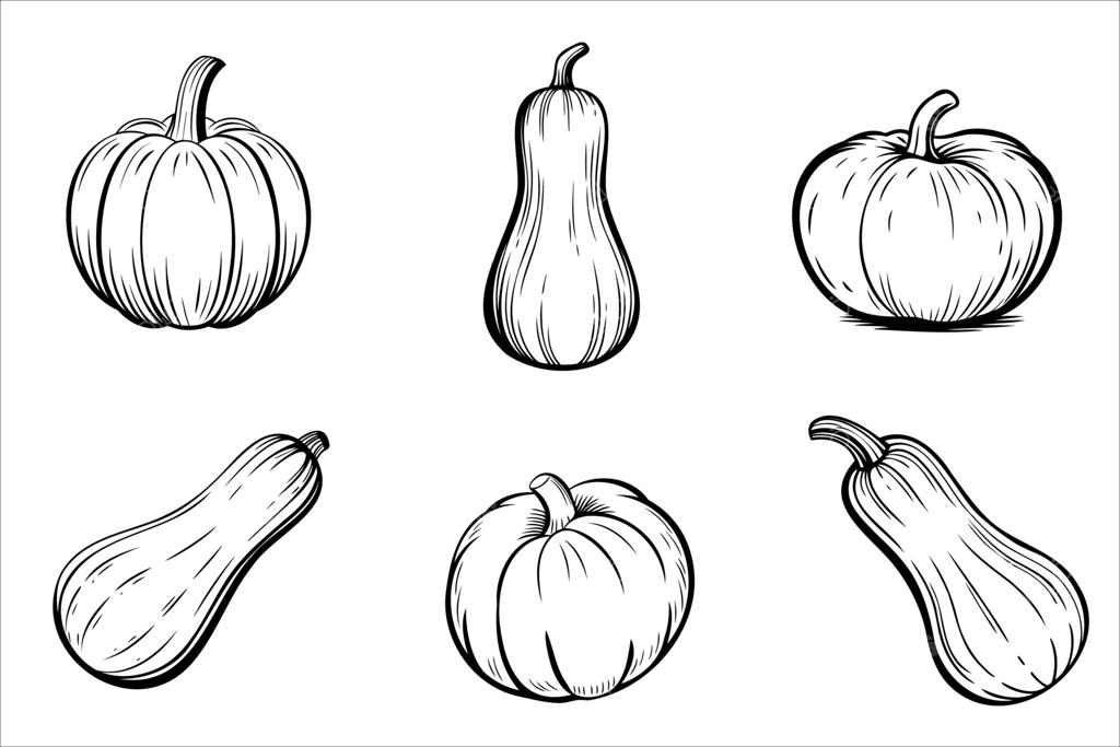مجموعه‌ای از شش کدو و کدوتنبل دستی در شکل‌ها و اندازه‌های مختلف. این تصویر ویژگی‌ها و بافت‌های خاص آن‌ها را به نمایش می‌گذارد.