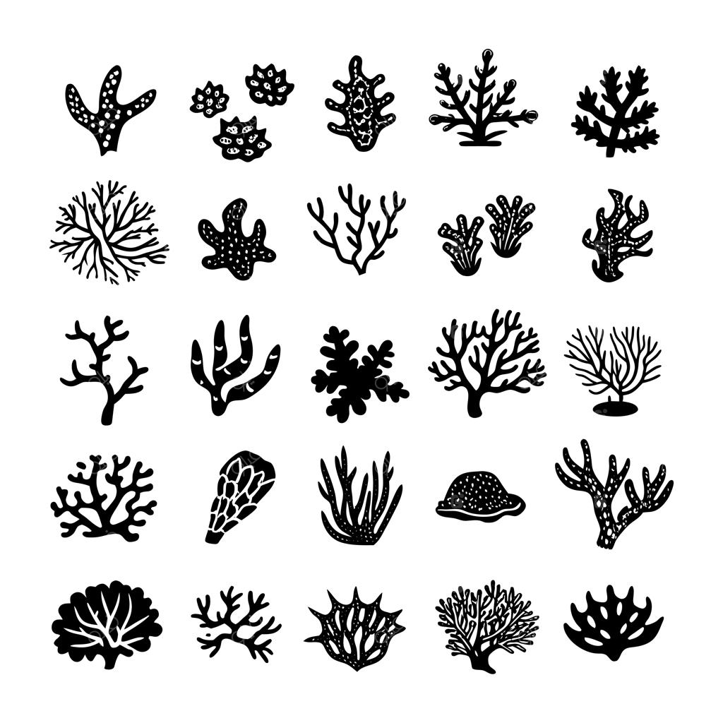 تصویرسازی وکتور صخره‌های مرجانی