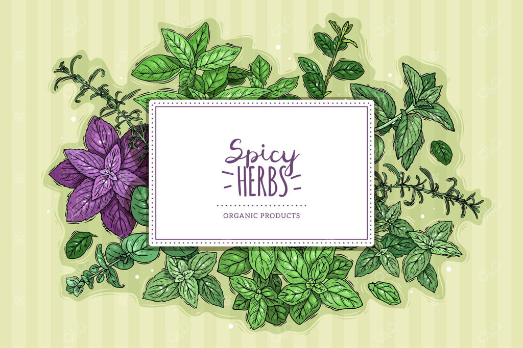 پوستر گیاهان دارویی و ادویه‌ها