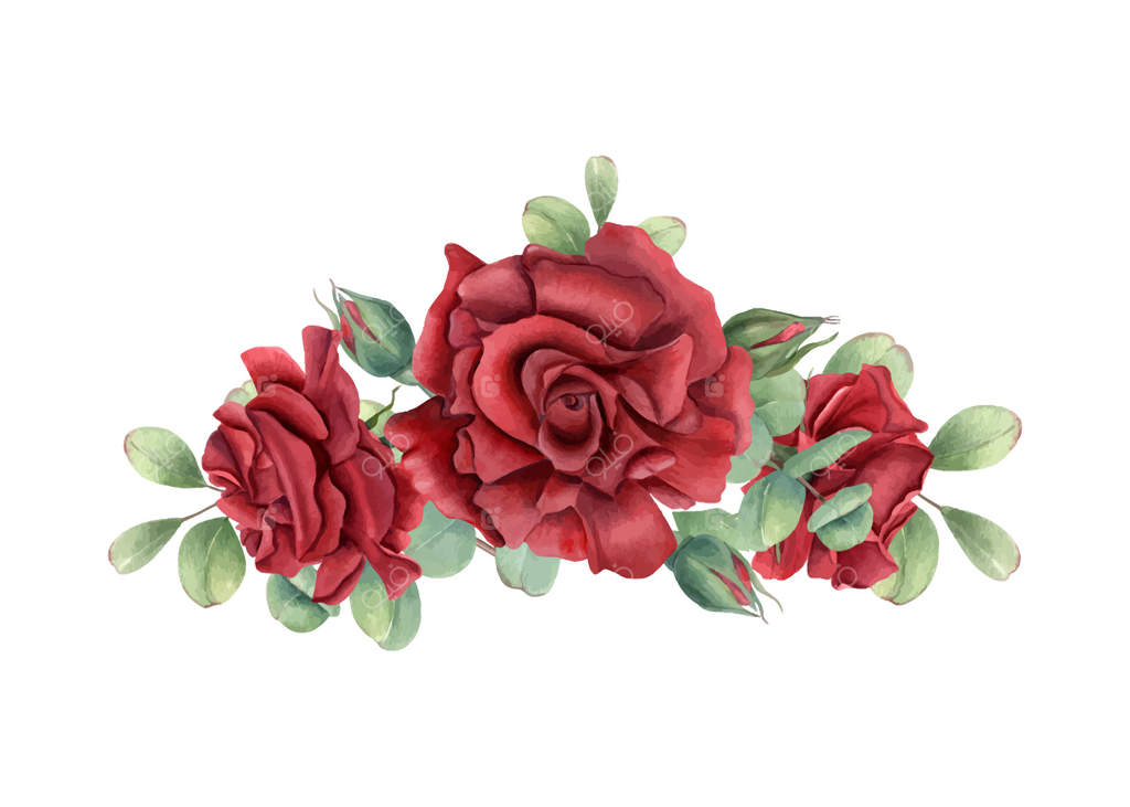 تصویر آبرنگی شاخه رز قرمز و اکالیپتوس. سه گل باغچه‌ای و غنچه‌ها در میان برگ‌های سبز و خاص. مناسب برای کارت تبریک تولد، طراحی دعوت‌نامه، مراسم عروسی و روز یادبود