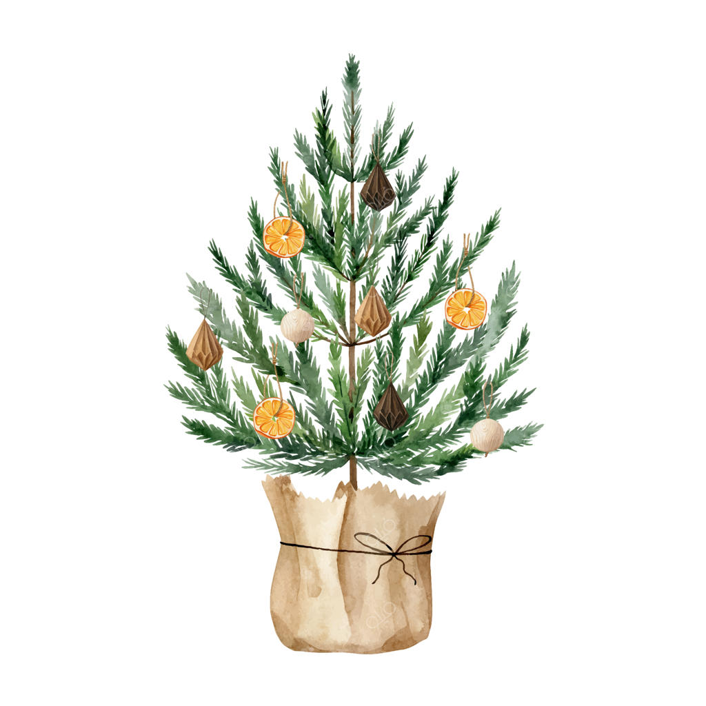 درخت کریسمس آبرنگی در بسته‌بندی کاغذ کرافت با تزئینات ارگانیک و پرتقال خشک‌شده