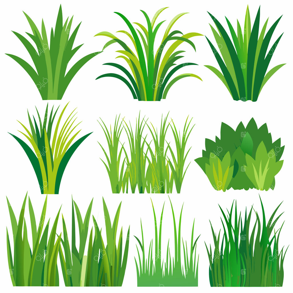 انواع حاشیه‌های چمن سبز با طراحی تخت