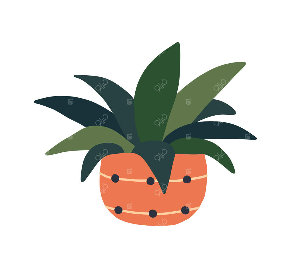 گلدان: گیاهان خانگی و آپارتمانی برای دکوراسیون داخلی