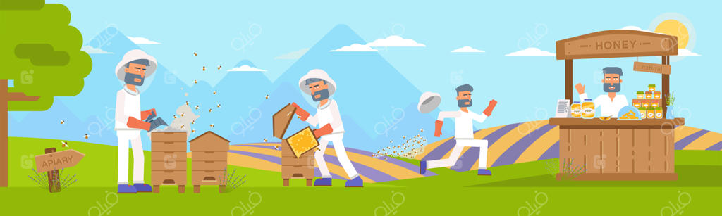 تصویر زنبوردار خانگی: تولید و فروش عسل ارگانیک با شیشه‌های موم طبیعی