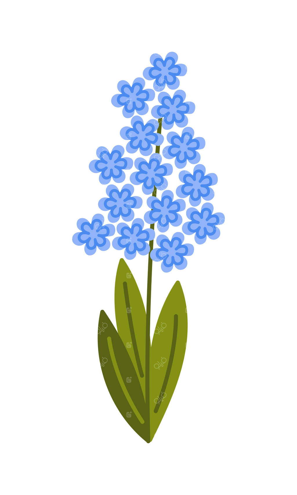 تزیین ساده گل سنبل اولین گل بهاری، طرح کارتونی گیاه باغچه با ساقه و برگ‌ها