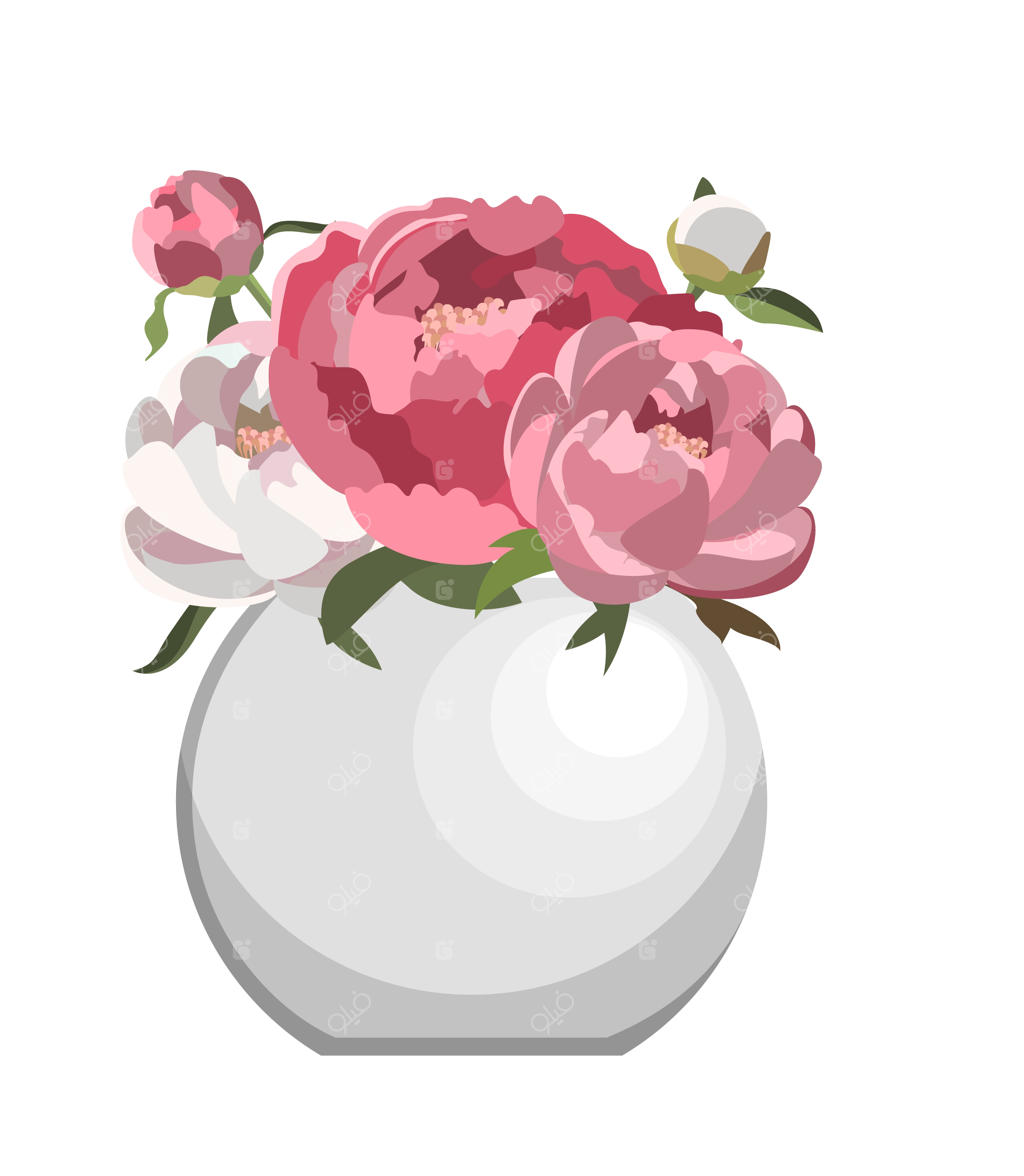 دسته‌ای گل صد تومانی صورتی در گلدان سرامیکی سفید. زمینه سفید