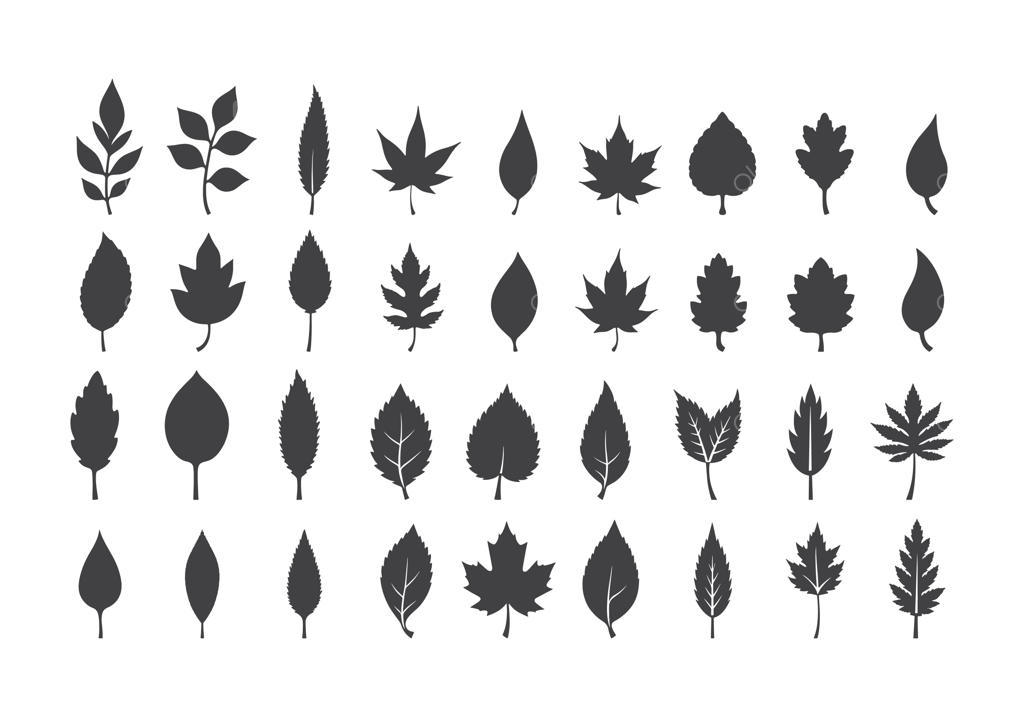 مجموعه آیکون‌های سیلوئت برگ