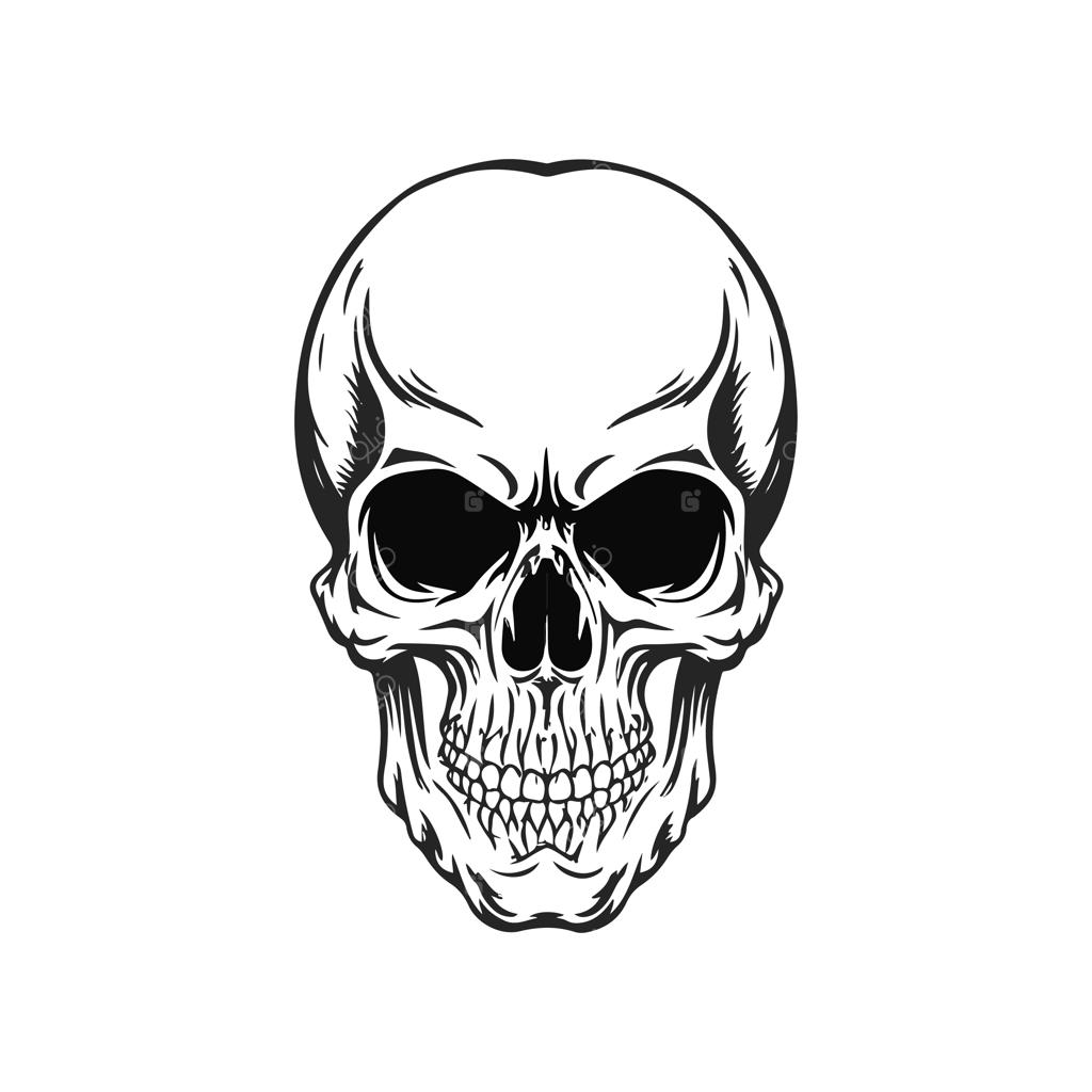 تصویرسازی وکتور جمجمه