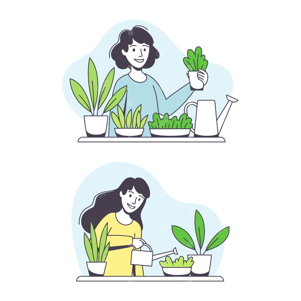 مجموعه تصویر زن جوان در حال پرورش و آبیاری گیاهان آپارتمانی، حفاظت از محیط زیست و مراقبت از طبیعت و سیاره سبز