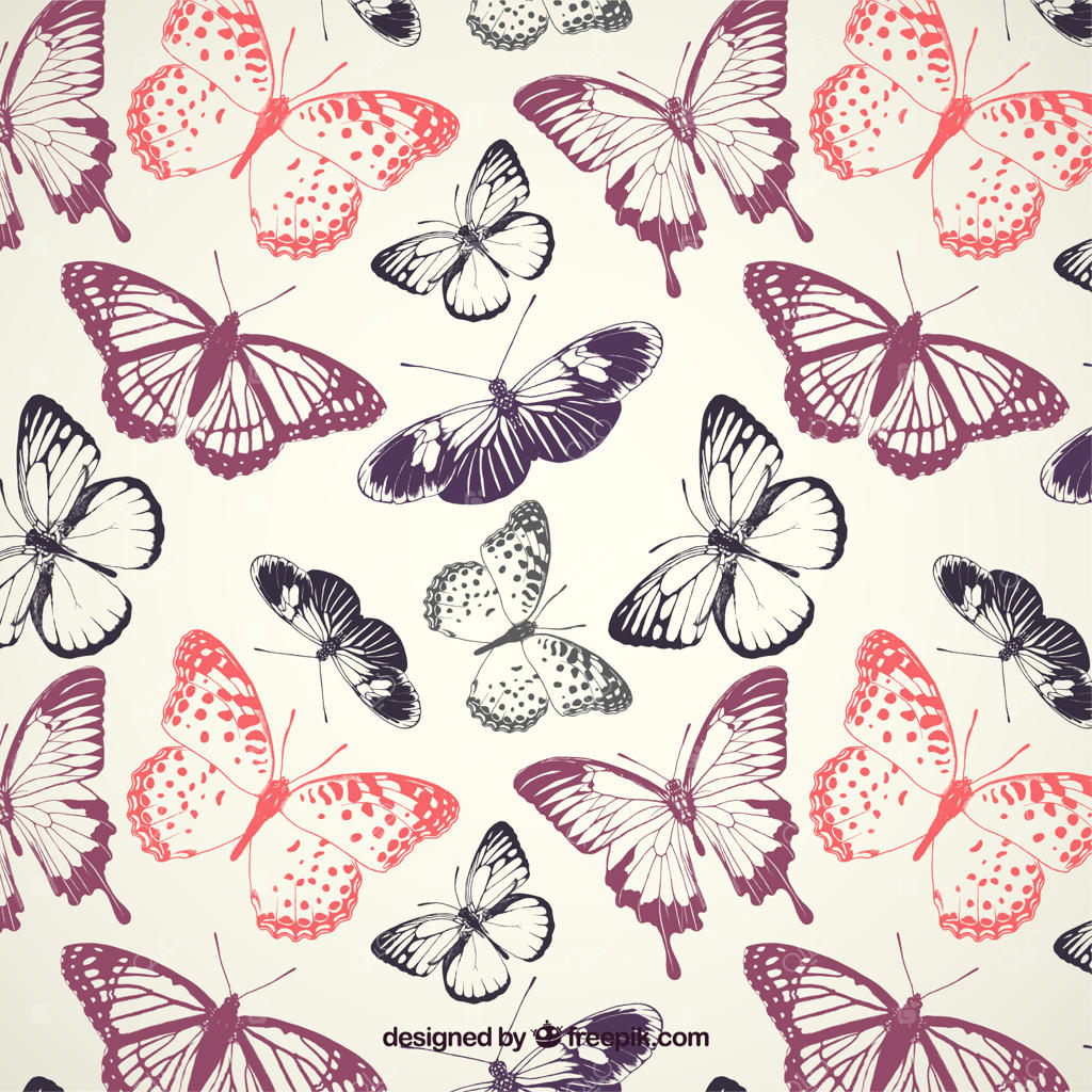 الگوی پروانه