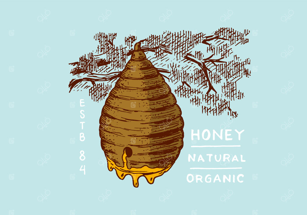 عسل و زنبورها: کندوهای عسل و زنبورداری.