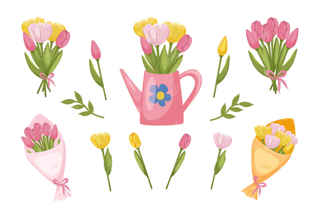 مجموعه‌ای از لاله‌ها در نسخه‌های مختلف بر روی زمینه سفید. تک گل، دسته‌های لاله، لاله‌ها در آب‌پاش باغ. تصویرسازی برای گل‌فروشی، کارت، بروشور، بنر.