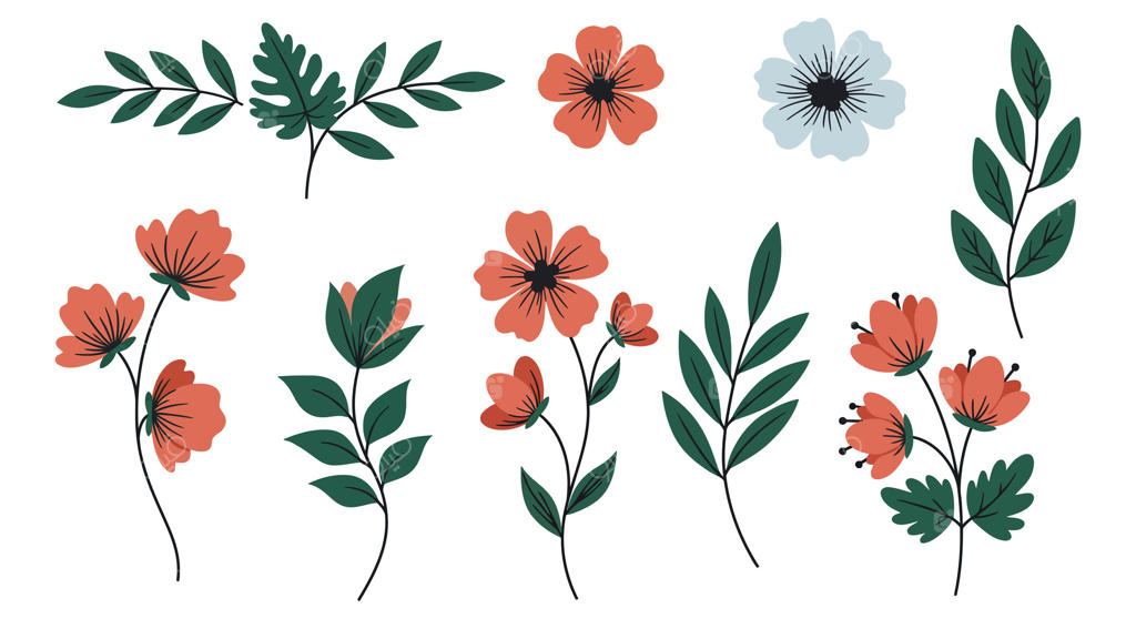 تصویرسازی گل‌ها و برگ‌ها