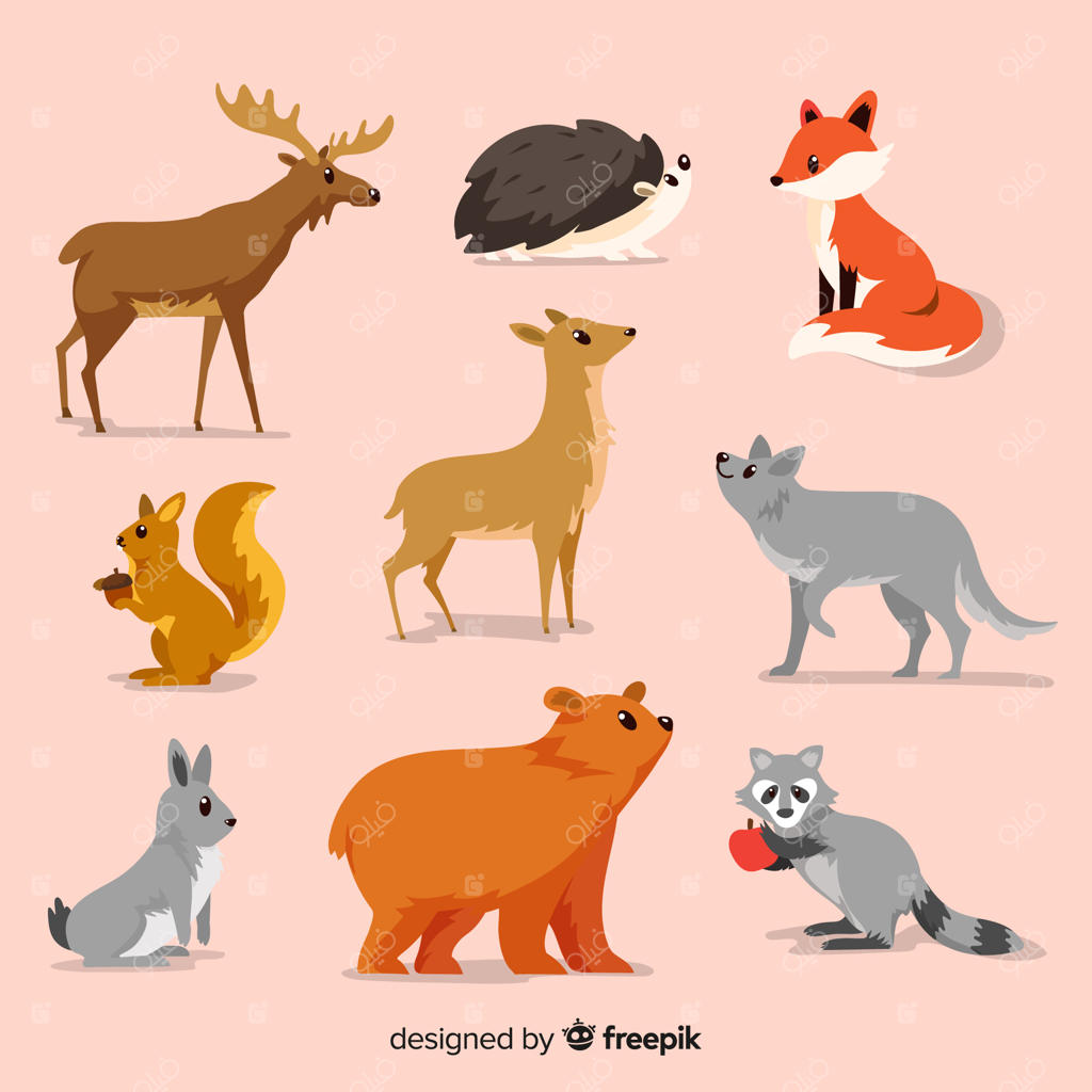 مجموعه حیوانات جنگلی پاییزی با طراحی تخت